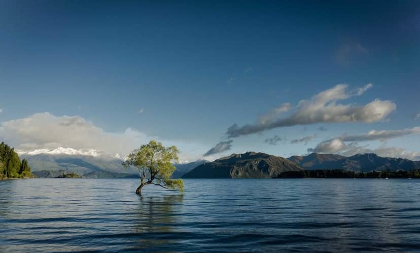 Unauth title uwLPaAiF